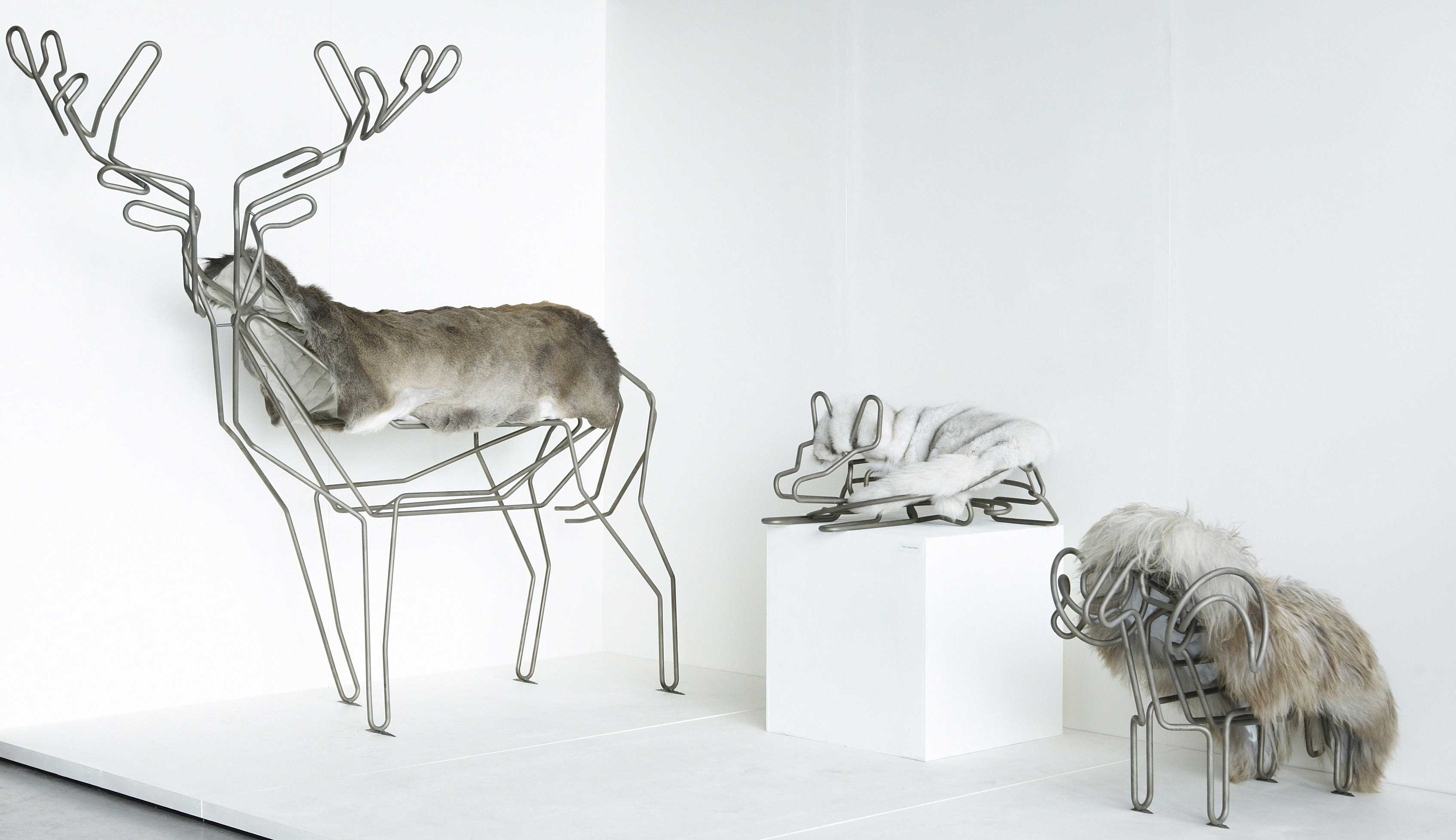 domestic animals
